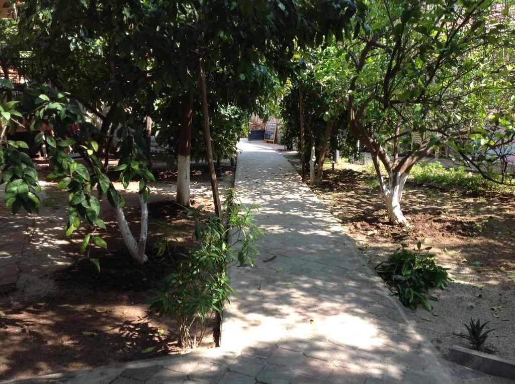 Ilkiz Beach Hotel Ölüdeniz Esterno foto